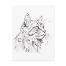 Dibujo de gato