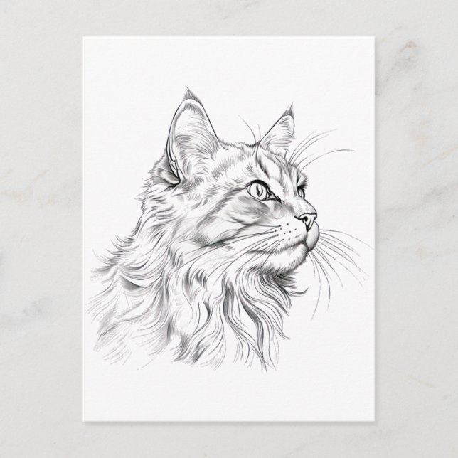 Postal Dibujo de gato (Anverso)