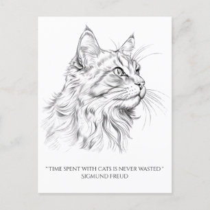 Postal Dibujo de gato