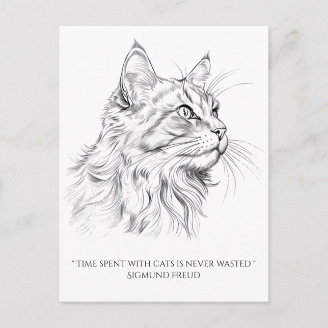 Postal Dibujo de gato (Anverso)