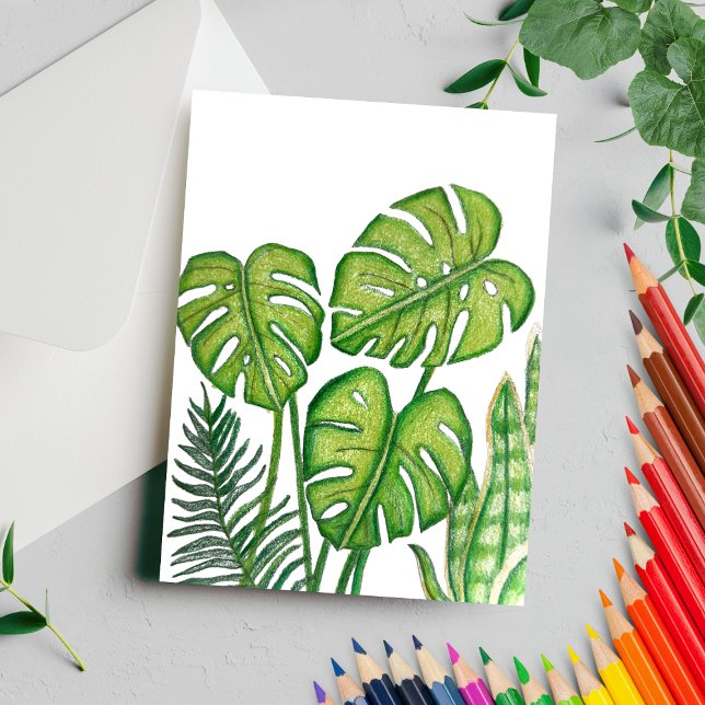 Postal Dibujo de Hojas Verdes de Monstera con Lápiz de Co (Subido por el creador)