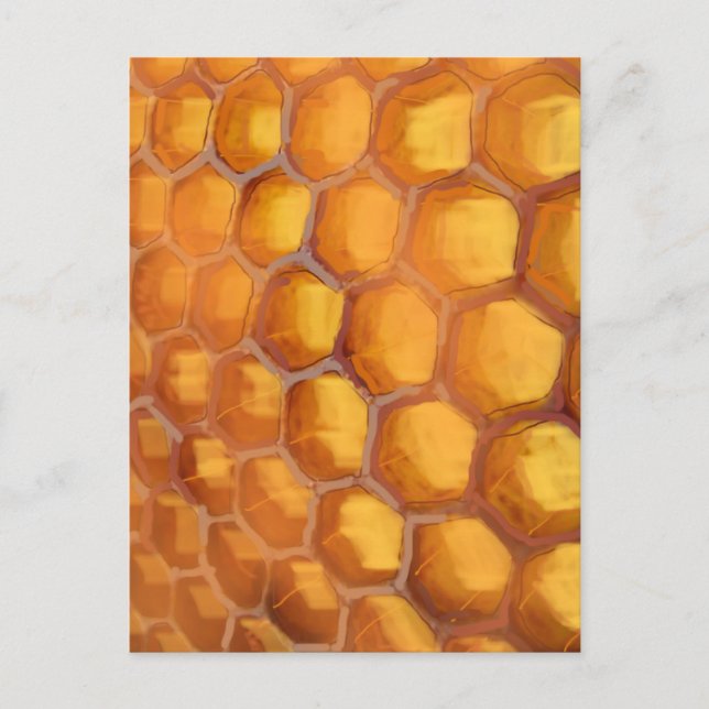 Postal Dibujo de Honeycomb dulce naranja marrón (Anverso)