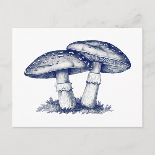 Postal Dibujo de hongo antiguo