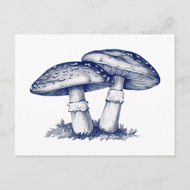 Postal Dibujo de hongo antiguo (Anverso)