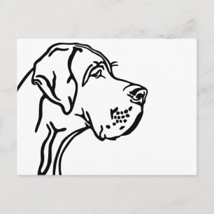 Postal Dibujo de la cabeza de un Gran Danés