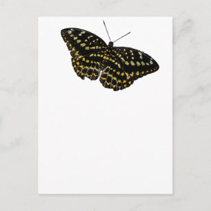 Postal Dibujo de la naturaleza del arte de la mariposa am