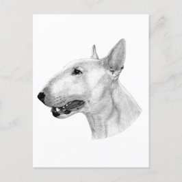 Postal Dibujo de lápiz de Bull Terrier