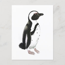 Postal Dibujo de lápiz de pingüino africano