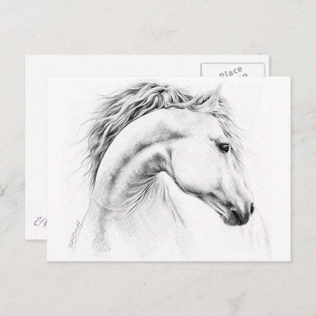 Postal Dibujo de lápiz de retrato de caballo Arte ecuestr (Anverso / Reverso)