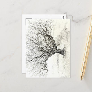 Postal Dibujo de lápiz y árbol de tinta