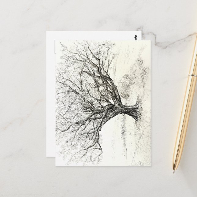 Postal Dibujo de lápiz y árbol de tinta (Anverso/Reverso In Situ)