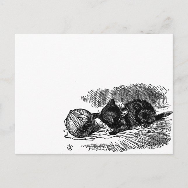 Postal Dibujo de libro de gatos negros de la Vieja Alicia (Anverso)