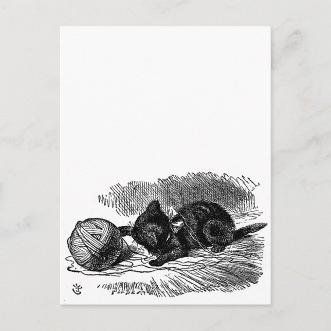 Postal Dibujo de libro de gatos negros de la Vieja Alicia (Anverso)