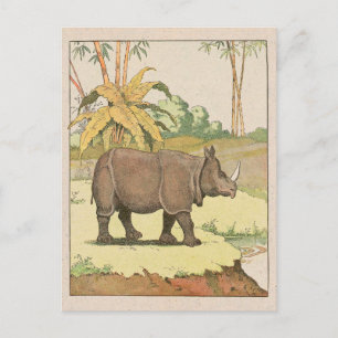 Postal Dibujo de libro de historias de rinocerontes