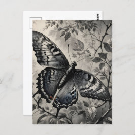 Postal Dibujo de mariposas en blanco y negro