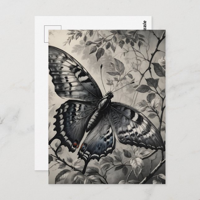 Postal Dibujo de mariposas en blanco y negro (Anverso / Reverso)