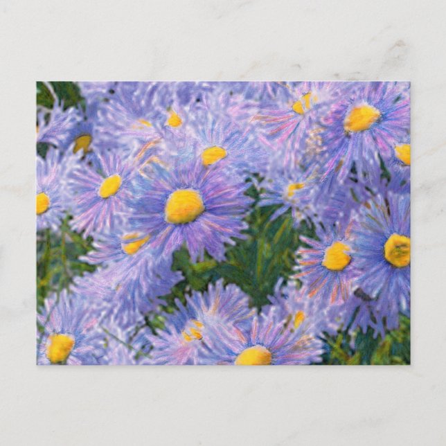 Postal Dibujo de medios mixtos de Wild Asters (Anverso)