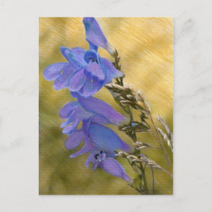 Postal Dibujo de medios mixtos púrpura penstemon