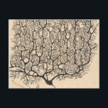 Postal Dibujo De Neuronas Por Santiago Ramón Y Cajal<br><div class="desc">Dibujo De Neuronas Por Santiago Ramón Y Cajal</div>