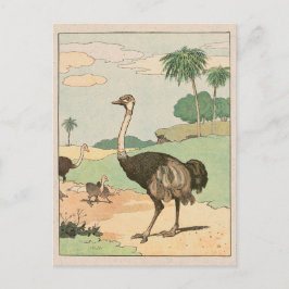 Postal Dibujo de Ostrich Storybook
