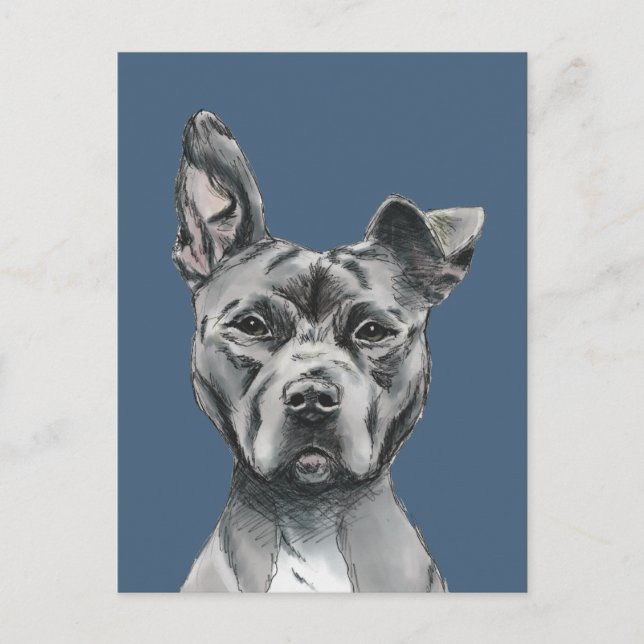 Postal Dibujo de Perro de Pit Bull Terrier (Anverso)