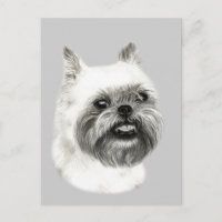 Dibujo de perros griffon de Bruselas