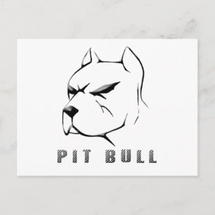 Postal Dibujo de Pitbull