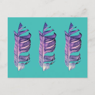 Postal Dibujo de plumas ilustracion original de arte fino