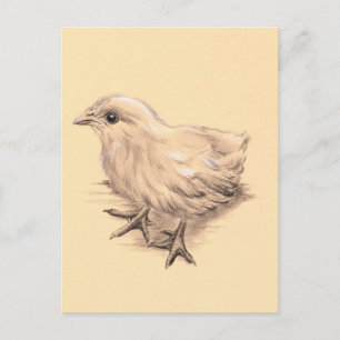 Postal Dibujo de pollo para bebés