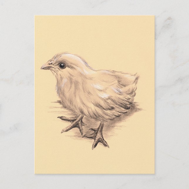 Postal Dibujo de pollo para bebés (Anverso)
