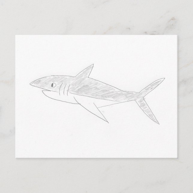 Postal Dibujo de tiburones (Anverso)