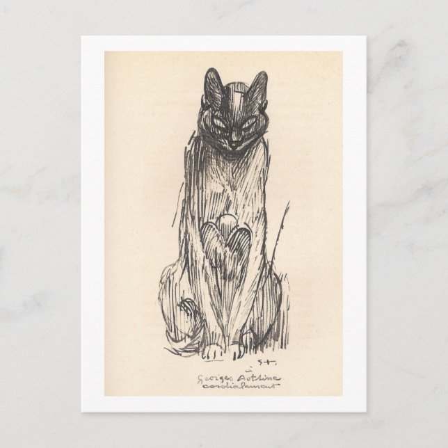 Postal Dibujo de un gato por Alexandre Steinlen (Anverso)