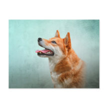 Dibujo de un perro chiba inu japonés