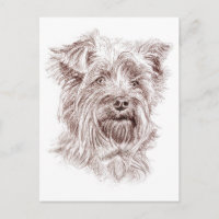Dibujo de Yorkshire Terrier