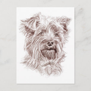 Postal Dibujo de Yorkshire Terrier