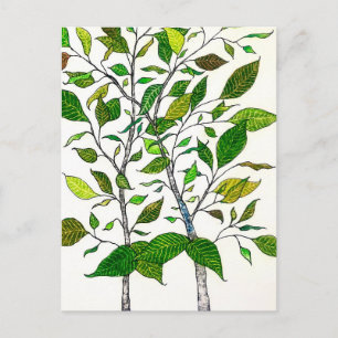 Postal Dibujo del árbol de la planta de Ficus con lápices