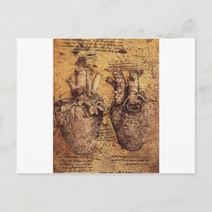 Postal Dibujo del corazón y sus vasos sanguíneos