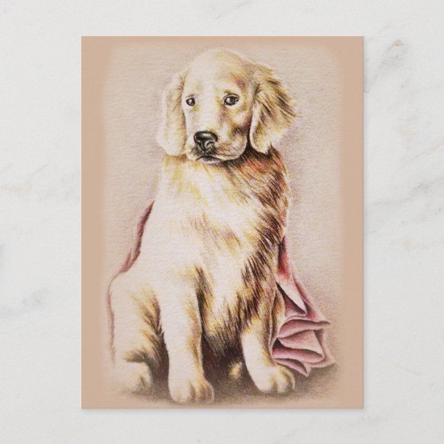 Postal Dibujo del mascota del perro del perro del perro d (Anverso)