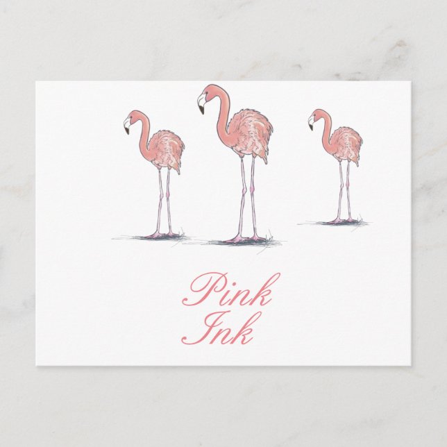 Postal Dibujo divertido de flamencos rosados (Anverso)