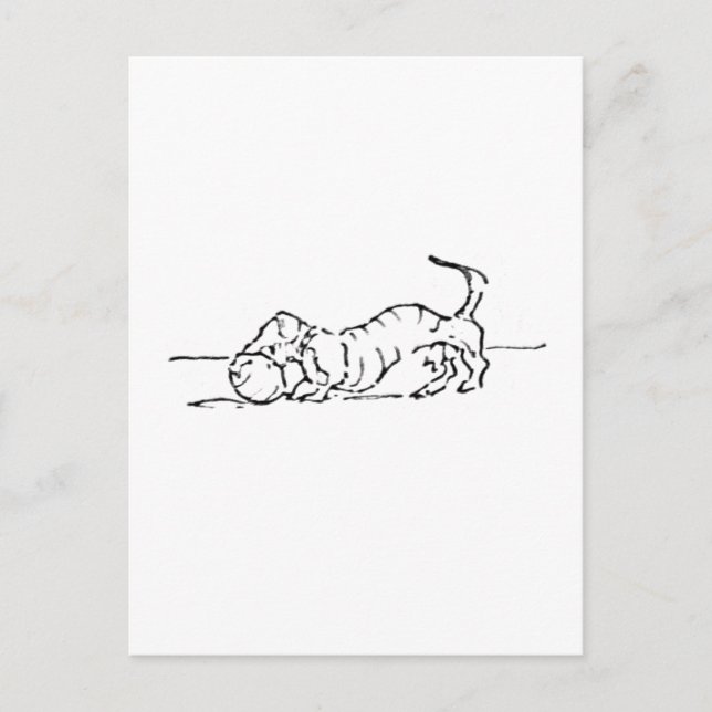 Postal Dibujo Divertido de un Perro Salchicha (Anverso)