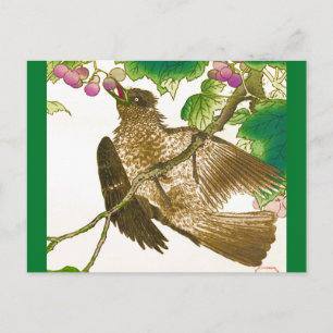 Postal Dibujo japonés de Jay en una vid