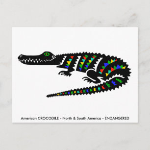 Postal Dibujo manual - CROCODILE - Conservación - Reptile