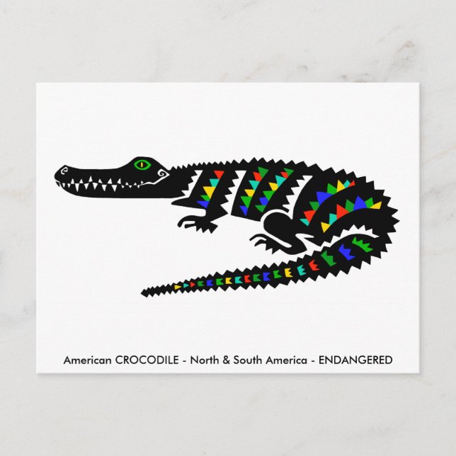 Postal Dibujo manual - CROCODILE - Conservación - Reptile (Anverso)