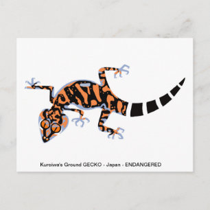 Postal Dibujo manual - GECKO - Amante de los animales - V