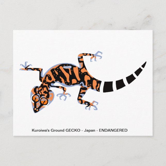 Postal Dibujo manual - GECKO - Amante de los animales - V (Anverso)