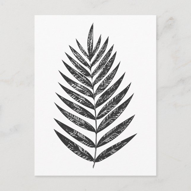 Postal Dibujo minimalista de helecho negro y blanco (Anverso)