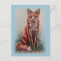 Dibujo rojo Fox de un dibujo de lápiz de arte anim