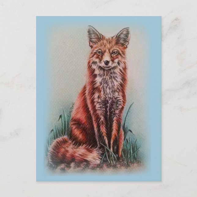 Postal Dibujo rojo Fox de un dibujo de lápiz de arte anim (Anverso)