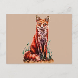 Postal Dibujo rojo Fox de un dibujo de un dibujo de un di