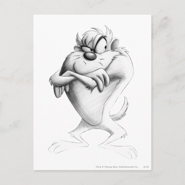 Postal Dibujo TAZ™ (Anverso)